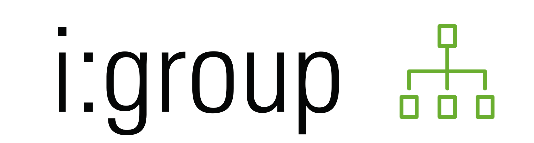 Logo iGroup